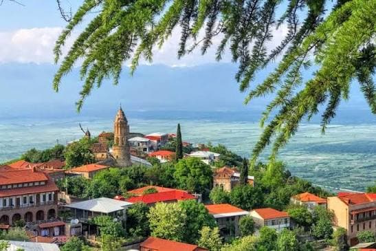 კახეთის ღვინის ტური